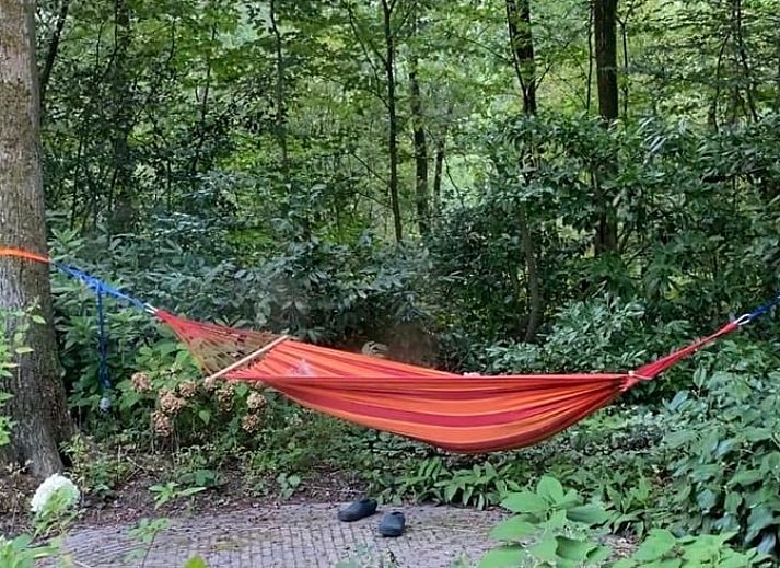 Gezellige woonkamer van Huisje in Epe, Veluwe, met comfortabele stoelen en uitzicht op de groene tuin, ideaal voor ontspanning.