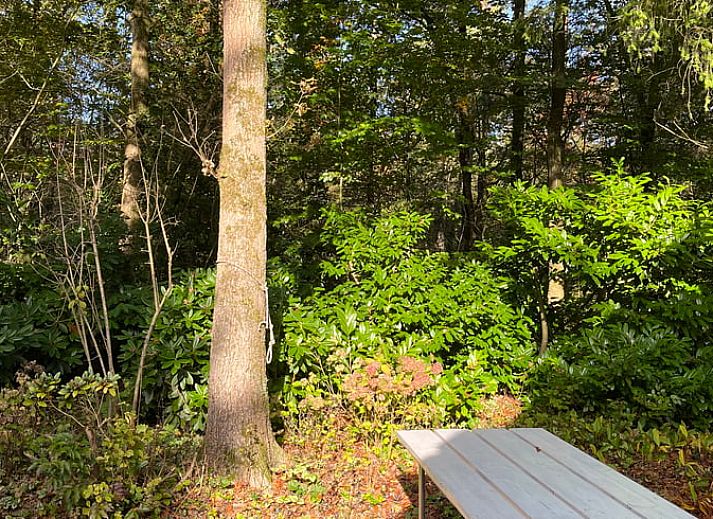 Gezellige woonkamer van Huisje in Epe, Veluwe, met comfortabele stoelen en uitzicht op de groene tuin, ideaal voor ontspanning.