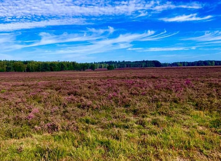 Gezellige woonkamer van Huisje in Epe, Veluwe, met comfortabele stoelen en uitzicht op de groene tuin, ideaal voor ontspanning.