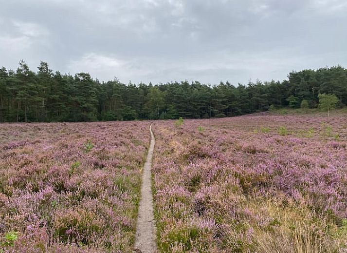 Geniet van de rust op het terras van Huisje in Epe, een vakantiehuis op de Veluwe in Gelderland, omringd door weelderige natuur.