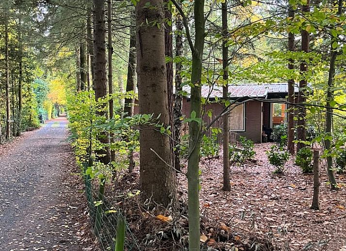 Unterkunft 322734 - Ferienhaus Veluwe - Vakantiehuis in Epe