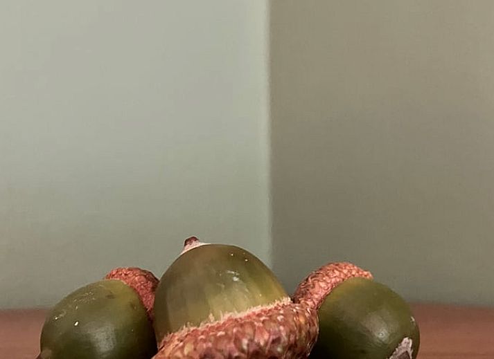 Unterkunft 322734 - Ferienhaus Veluwe - Vakantiehuis in Epe