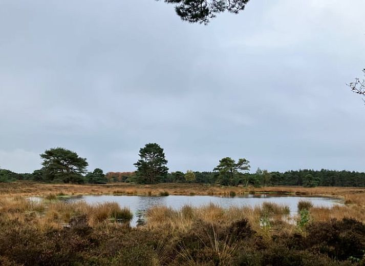Unterkunft 322734 - Ferienhaus Veluwe - Vakantiehuis in Epe