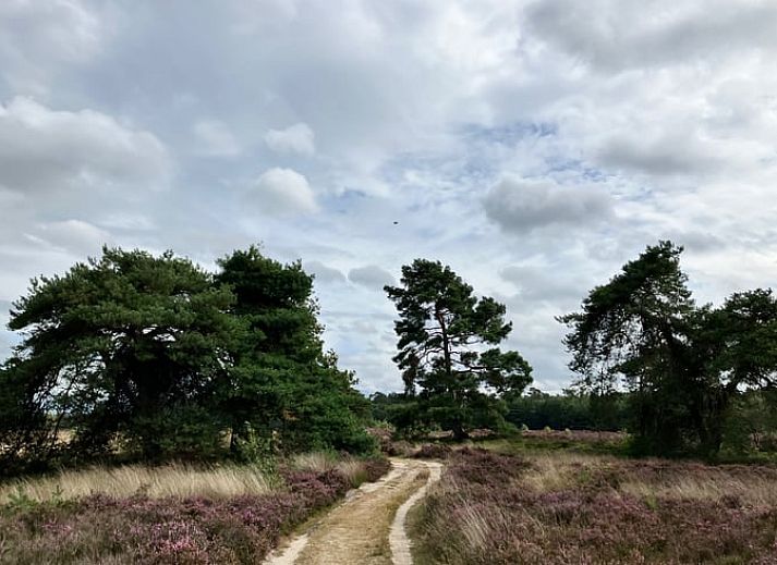 Unterkunft 322734 - Ferienhaus Veluwe - Vakantiehuis in Epe