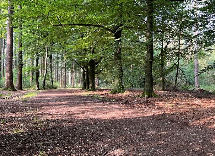 Unterkunft 322734 - Ferienhaus Veluwe - Vakantiehuis in Epe