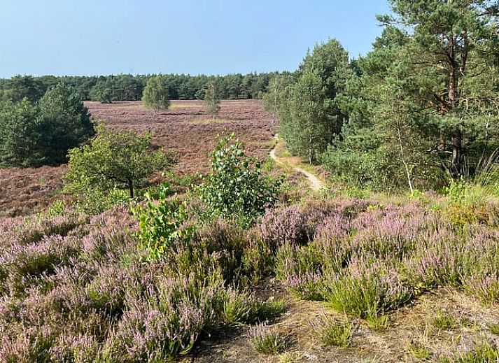 Unterkunft 322734 - Ferienhaus Veluwe - Vakantiehuis in Epe