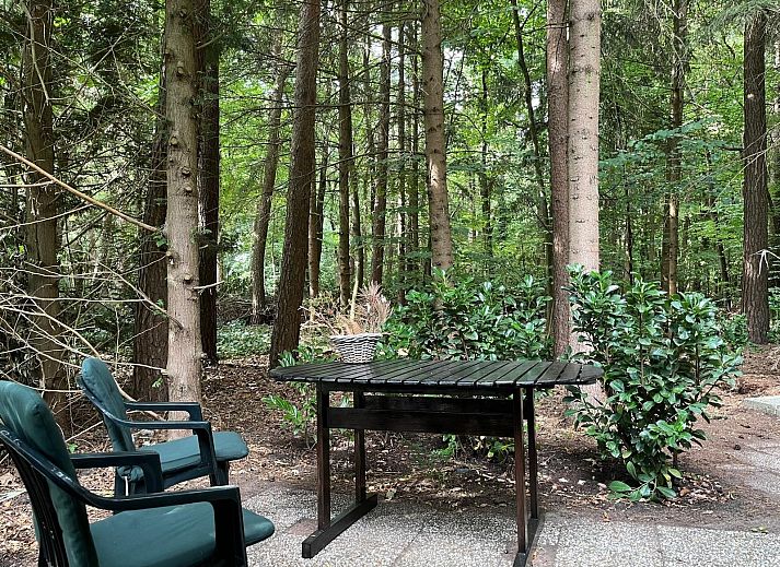 Verblijf 322739 - Vakantiewoning Veluwe - DG2161