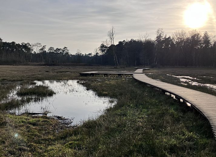 Verblijf 322739 - Vakantiewoning Veluwe - DG2161