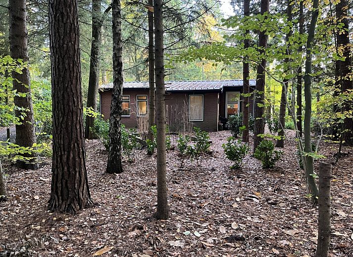 Verblijf 322739 - Vakantiewoning Veluwe - DG2161