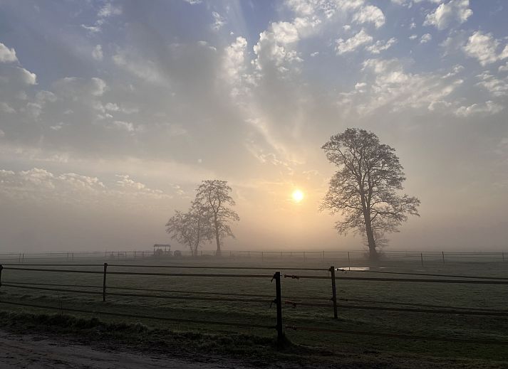 Guest house 322739 - Holiday property Veluwe - DG2161