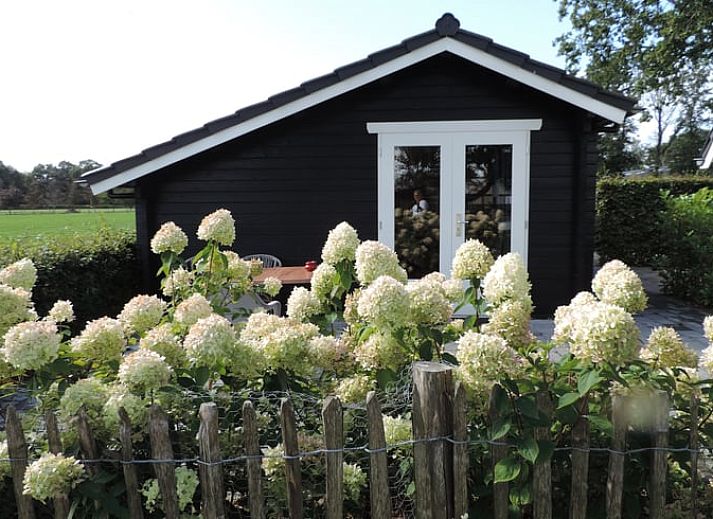 Unterkunft 322743 - Ferienhaus Veluwe - Vakantiehuis in Epe