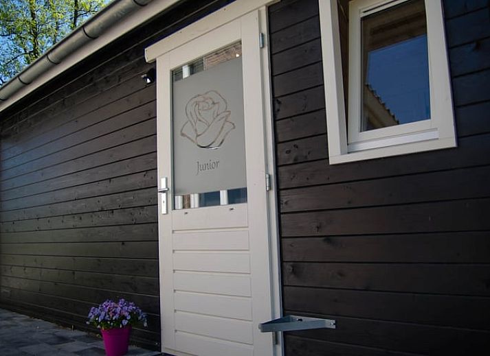 Unterkunft 322743 - Ferienhaus Veluwe - Vakantiehuis in Epe