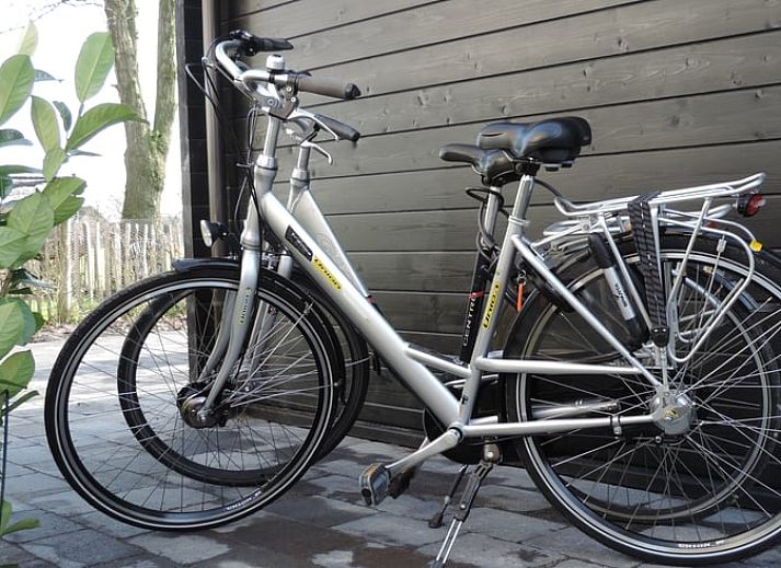 Unterkunft 322743 - Ferienhaus Veluwe - Vakantiehuis in Epe