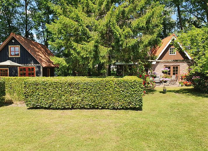 Guest house 322746 • Holiday property Veluwe • Huisje in Epe