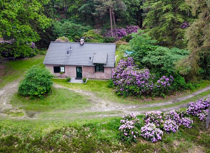 Verblijf 322752 • Bungalow Veluwe • RCN de Jagerstee 1