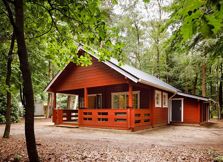 Unterkunft 322753 • Ferienhaus Veluwe • Veluwse lodge