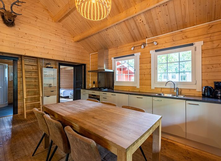 Veluwe lodge vacation home in Epe, Veluwe, surrounded by green nature and rustic charm.