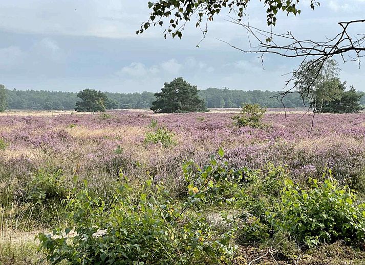 Verblijf 322766 • Bungalow Veluwe • Prachtig vrijstaand huis met tuin op de Veluwe