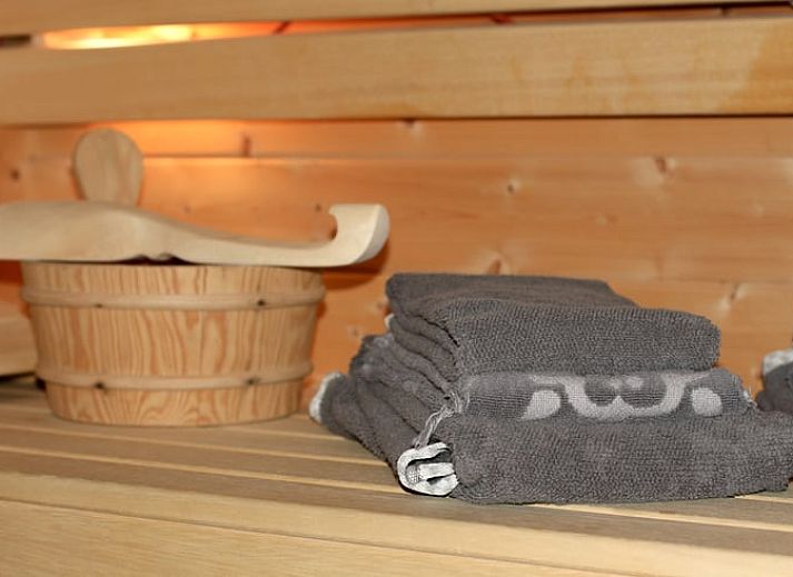 Gemuetlicher Innenbereich des Ferienhauses in Epe, Veluwe, Gelderland, mit Holzwaenden und moderner Essgruppe fuer einen entspannten Aufenthalt.