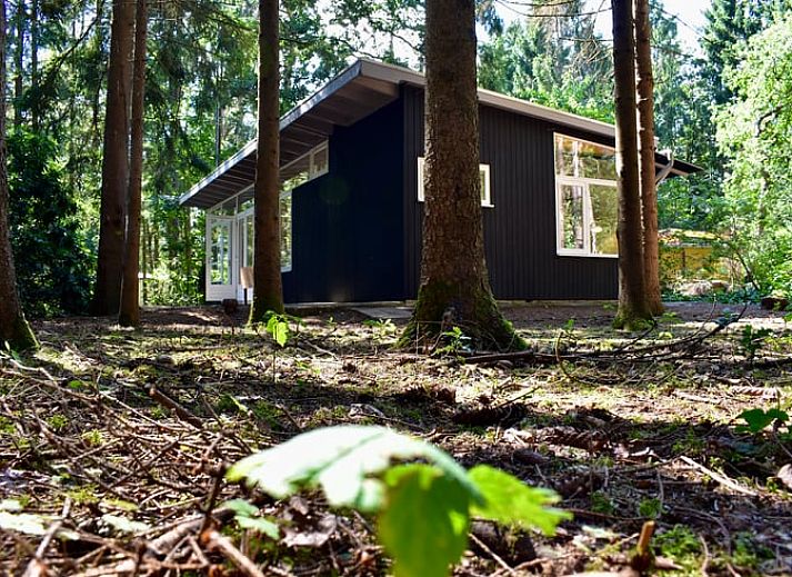 Verblijf 322799 • Vakantiewoning Veluwe • Natuurhuisje in Epe