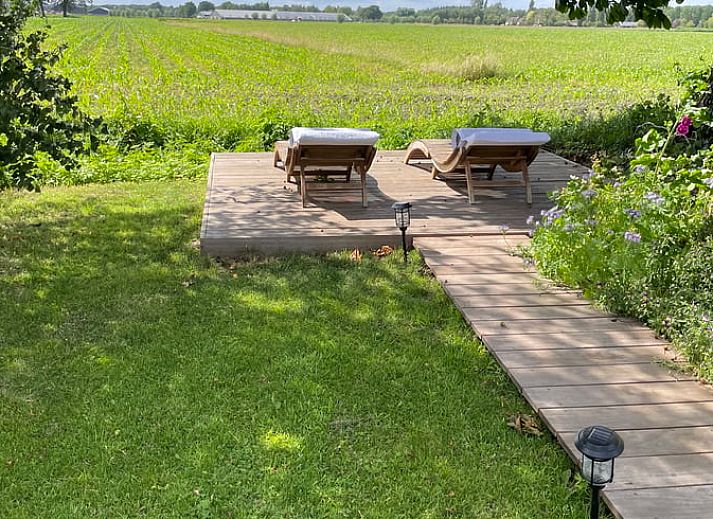Geniessen Sie die Ruhe der Natur im Ferienhaus in Scherpenzeel, Gelderland, mit einer schoenen Terrasse in der Veluwe.