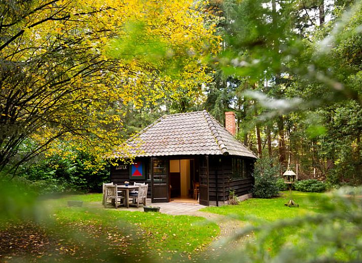 Unterkunft 322908 • Ferienhaus Veluwe • Vakantiehuis in Vierhouten 