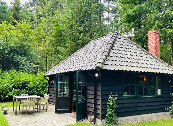 Unterkunft 322908 - Ferienhaus Veluwe - Vakantiehuis in Vierhouten