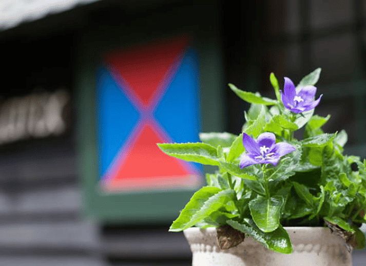 Unterkunft 322908 - Ferienhaus Veluwe - Vakantiehuis in Vierhouten