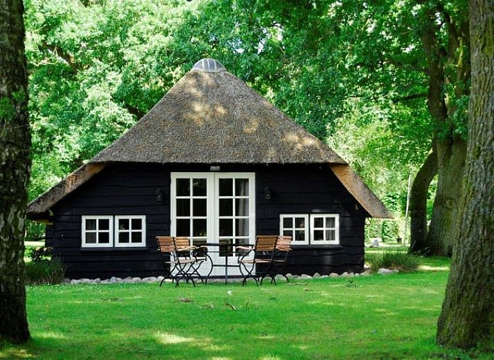 Gemuetliches Ferienhaus in Vierhouten in der Veluwe, umgeben von gruener Natur in Gelderland, ideal fuer einen entspannten Aufenthalt.