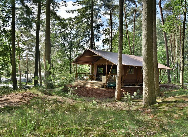 Unterkunft 322919 • Ferienhaus Veluwe • Veluwe Lodge 