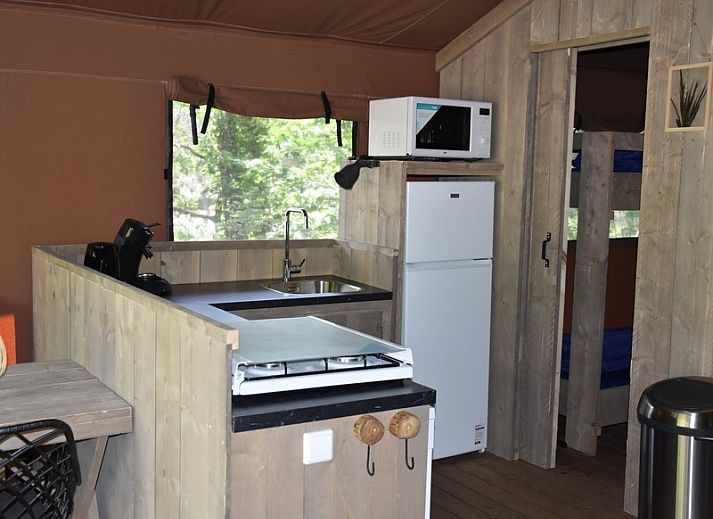 Unterkunft 322919 - Zelthaus Veluwe - Veluwe Lodge