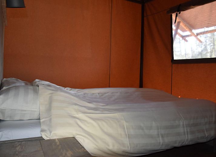 Unterkunft 322919 - Zelthaus Veluwe - Veluwe Lodge