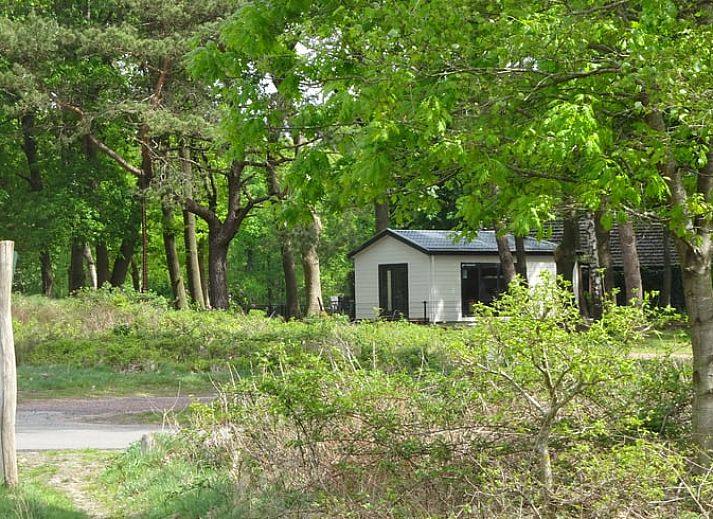 Unterkunft 322920 • Ferienhaus Veluwe • Vakantiehuisje in Vierhouten