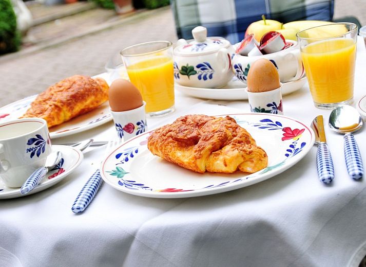 Welkom bij Het Zuyerbroeck in Nunspeet, Veluwe. Ontdek de charme van deze bed and breakfast te midden van de natuur.