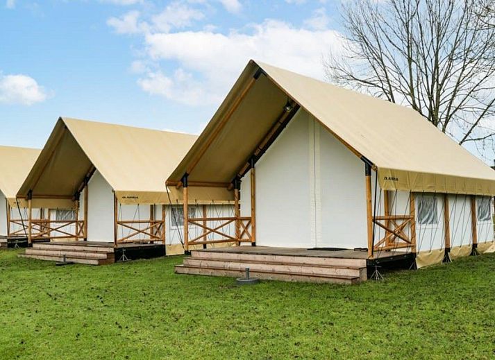Unterkunft 3230100 • Zelthaus Veluwe • Glampingtent 