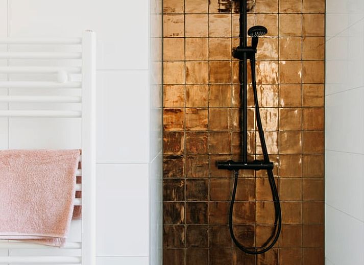 Modern bathroom in Holiday Home in Nunspeet, Veluwe, with stylish tile wall and artistic details.