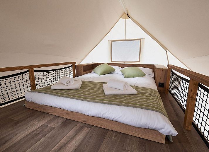 Guest house 3230112 - Tent house Veluwe - Glampingtent