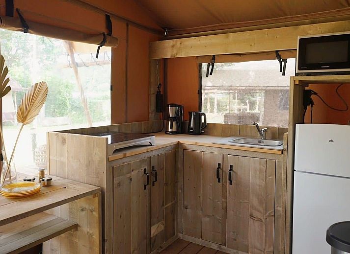 Unterkunft 3230113 - Zelthaus Veluwe - Glampingtent Desert