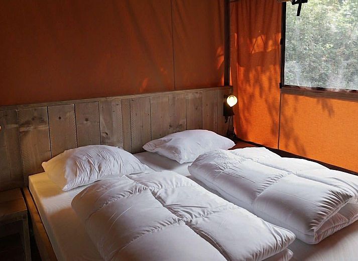 Unterkunft 3230113 - Zelthaus Veluwe - Glampingtent Desert