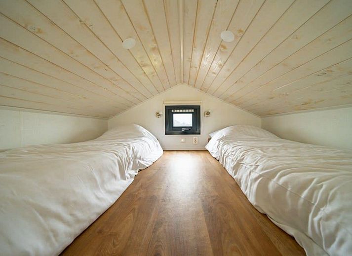 Guest house 3230115 - Holiday property Veluwe - Tiny House