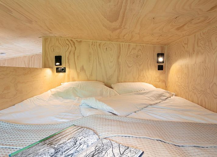 Unterkunft 3230121 - Ferienhaus Veluwe - TED Tiny House