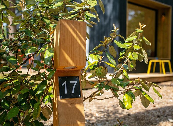 Unterkunft 3230121 - Ferienhaus Veluwe - TED Tiny House