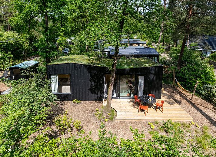 Unterkunft 3230121 - Ferienhaus Veluwe - TED Tiny House