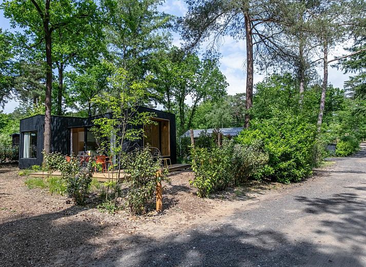 Unterkunft 3230121 - Ferienhaus Veluwe - TED Tiny House