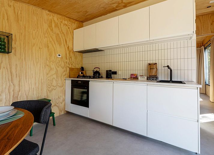 Vakantiehuis Mos in Nunspeet, Veluwe omringd door natuur, met ruim terras en moderne architectuur, ideaal voor ontspanning in Gelderland.