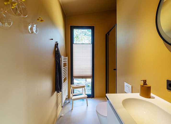 Gezellige binnenruimte van vakantiehuis Mos in Nunspeet, Veluwe met houten interieur en uitzicht op de natuur van Gelderland.