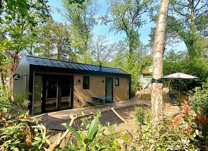Ferienhaus in Nunspeet mit Holzfassade und Terrasse, ideal gelegen in der Natur der Veluwe, Gelderland.