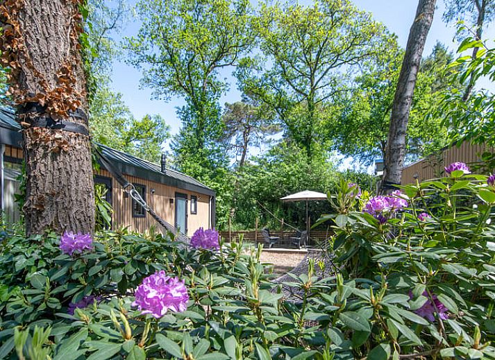 Ferienhaus in Nunspeet mit Holzfassade und Terrasse, ideal gelegen in der Natur der Veluwe, Gelderland.