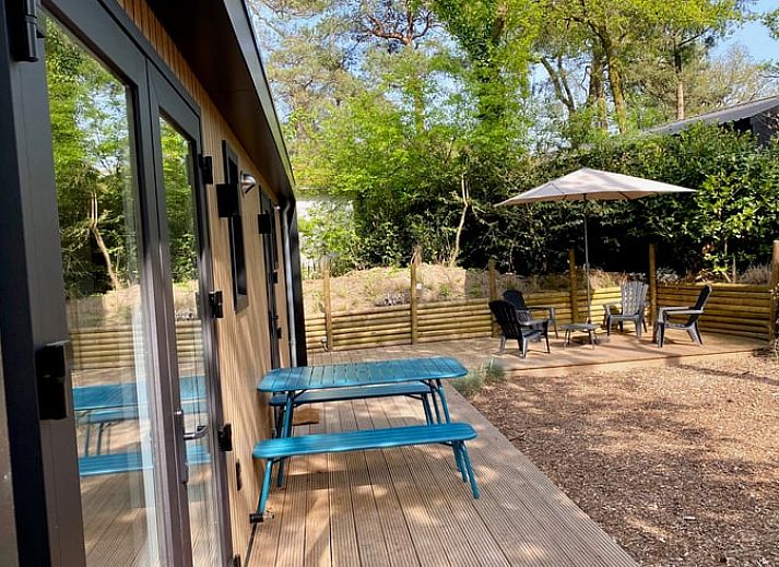 Entspannen Sie sich in der Haengematte im Ferienhaus in Nunspeet, das in der gruenen Natur der Veluwe in Gelderland liegt.
