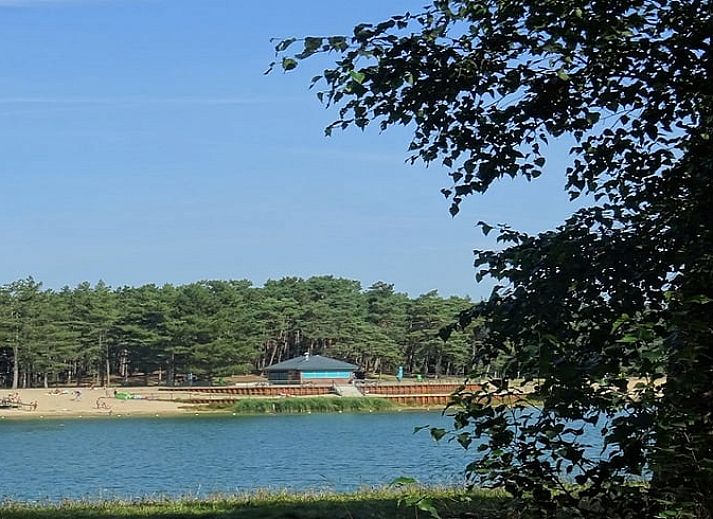 Ferienhaus in Nunspeet, Veluwe, Gelderland, umgeben von gruener Natur. Geniessen Sie die Ruhe und die Terrasse in diesem schoenen Ferienhaus.